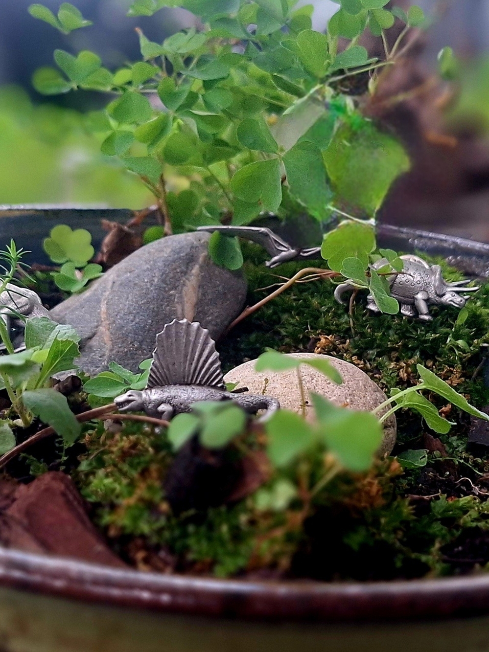 Silver Reptile Terrarium DĂŠcor Set - Silver